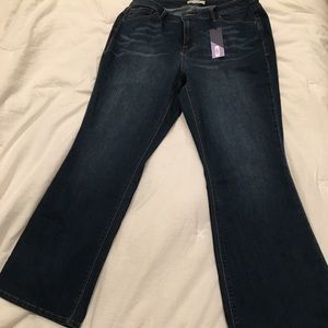 Meri Skye Grand Bootcut 18W Medium Wash Jeans
